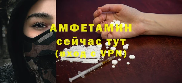 индика Горняк