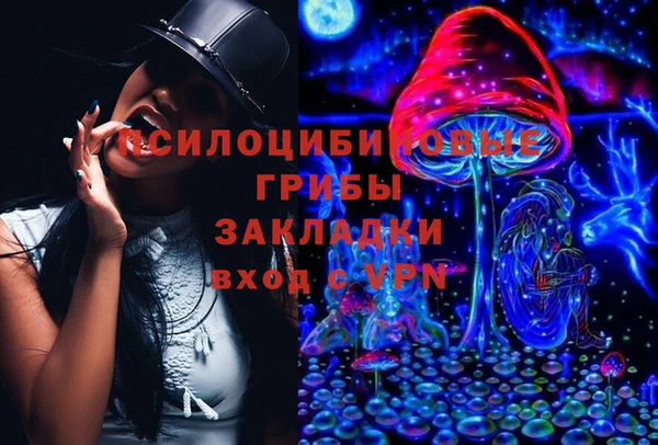 мяу мяу кристалл Алексин