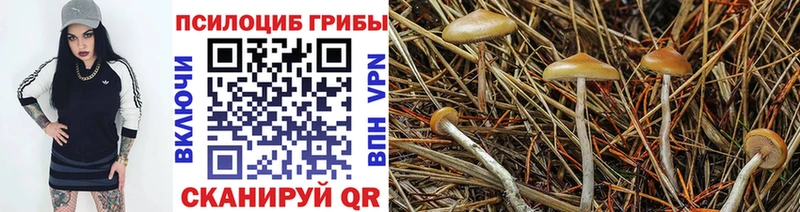 Псилоцибиновые грибы Psilocybe  продажа наркотиков  Заозёрный 