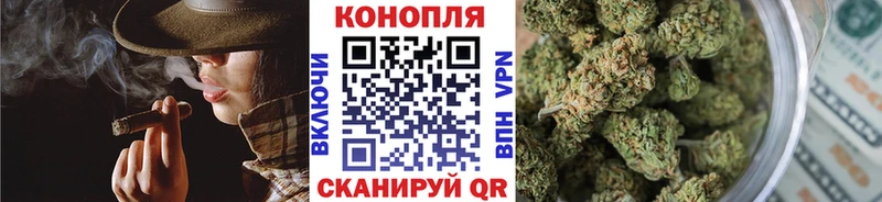 Конопля MAZAR  Заозёрный 